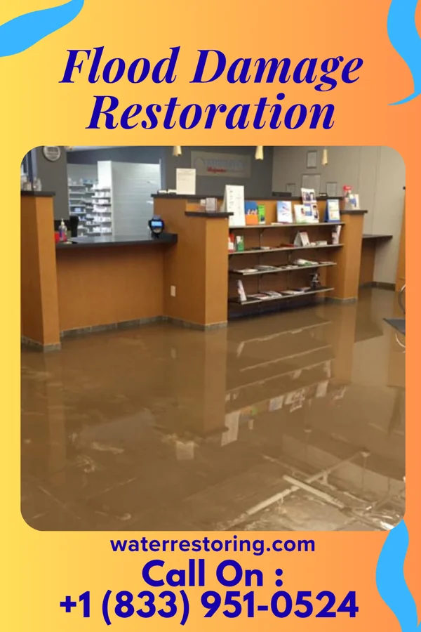 Flood Damage Restoration in Lake Dunlap, TX