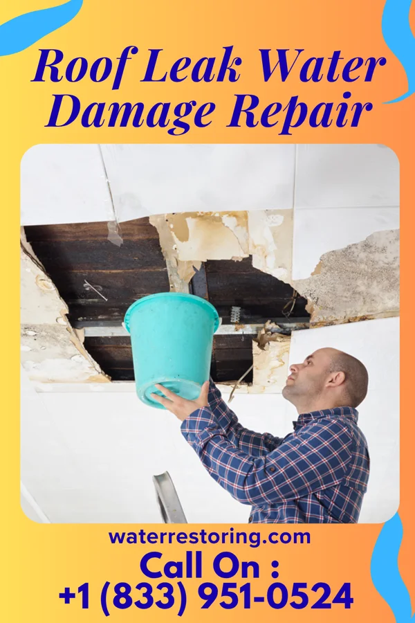 Roof Leak Water Damage Repair in Lake Dunlap, TX